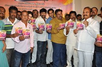 Kakateeyudu Audio Launch